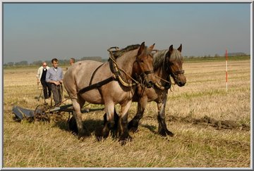 Album plaatje